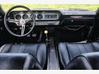 Thumbnail Photo 4 for 1964 Pontiac GTO